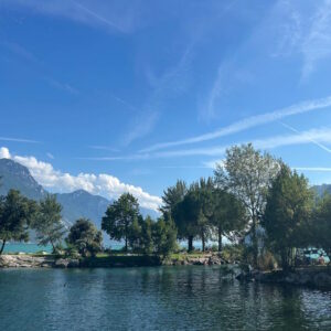 Orthodontic Summer Conference 2026